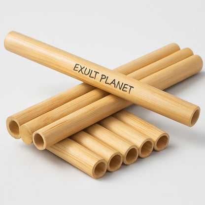 Eco-Friendly Bamboo Reusable Straws - Sustainable, Plastic-Free Drinking Solution
