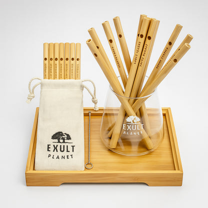 Eco-Friendly Bamboo Reusable Straws - Sustainable, Plastic-Free Drinking Solution