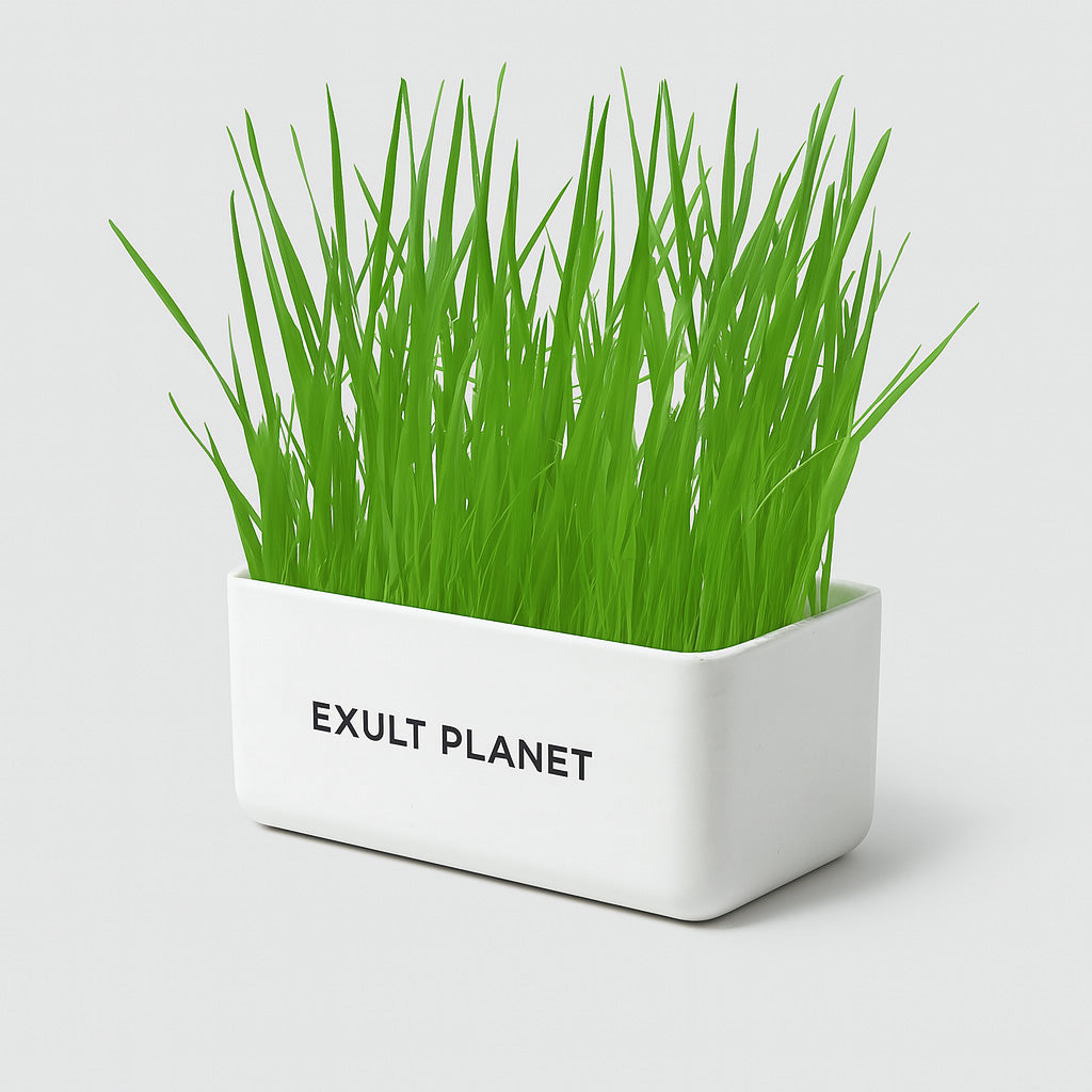 Eco-Friendly Indoor Plant Growing Kit for Sustainable Gardening