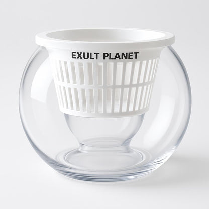 Clear Round Hydroponic Plant Vase for Indoor Gardening