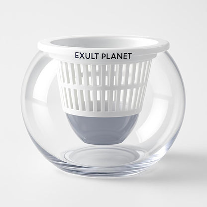 Clear Round Hydroponic Plant Vase for Indoor Gardening