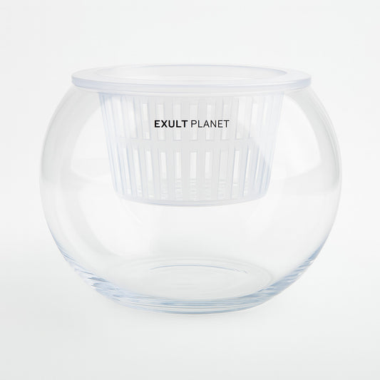 Clear Round Hydroponic Plant Vase for Indoor Gardening