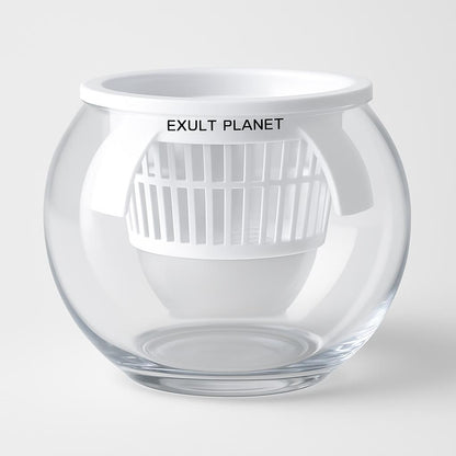 Clear Round Hydroponic Plant Vase for Indoor Gardening