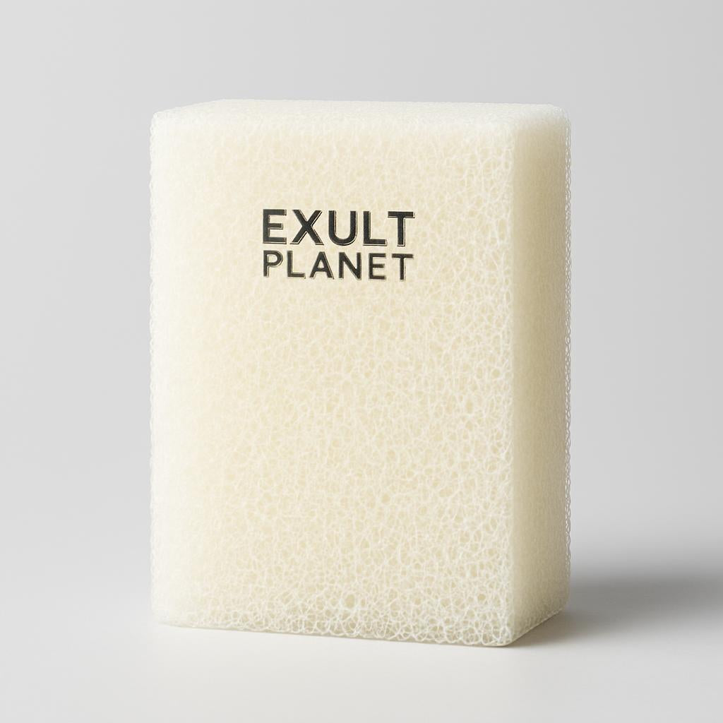 Eco-Friendly Imitation Loofah Sponge Set for Oil Cleaning