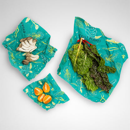 Eco-Friendly Reusable Beeswax Food Wraps - Teal Nature Patterns