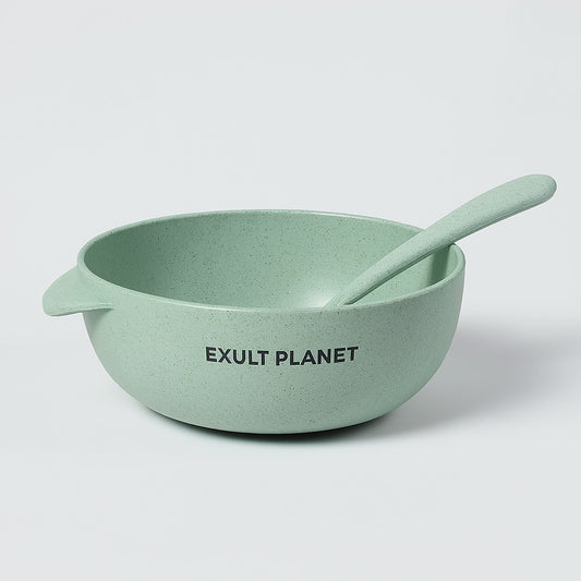 Eco-Friendly Biodegradable Rice Bowl and Spoon Set