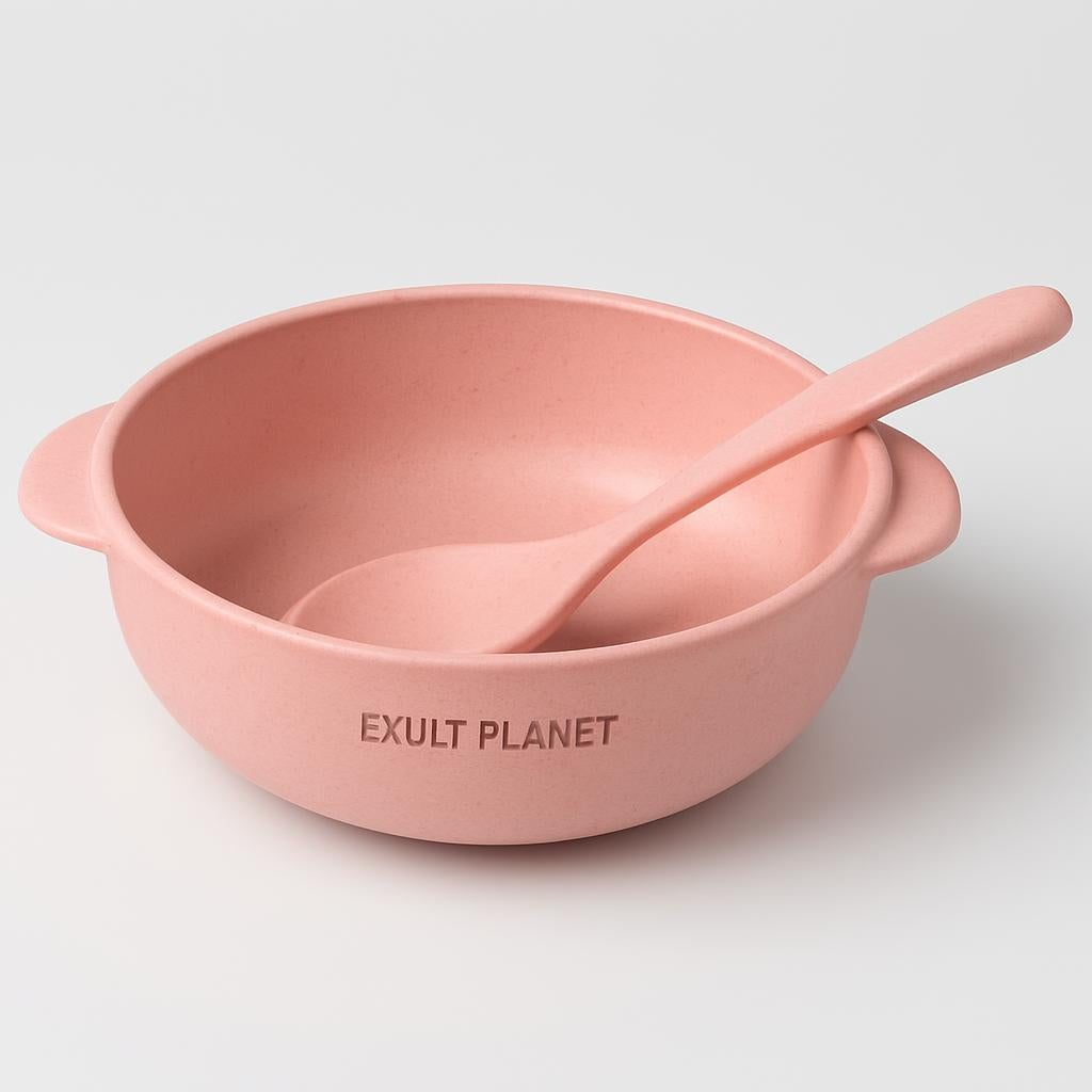Eco-Friendly Biodegradable Rice Bowl and Spoon Set