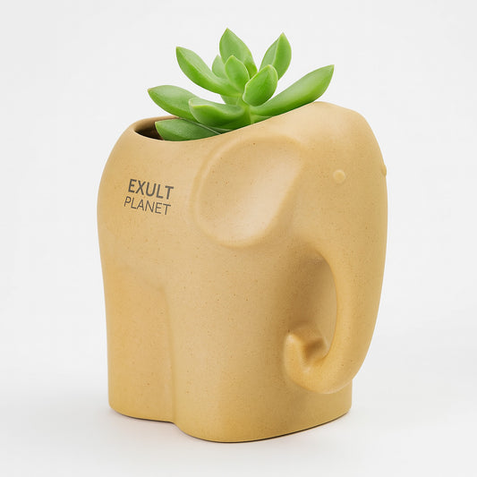 Eco-Friendly Elephant and Cat Succulent Planters in Natural Beige Ceramic