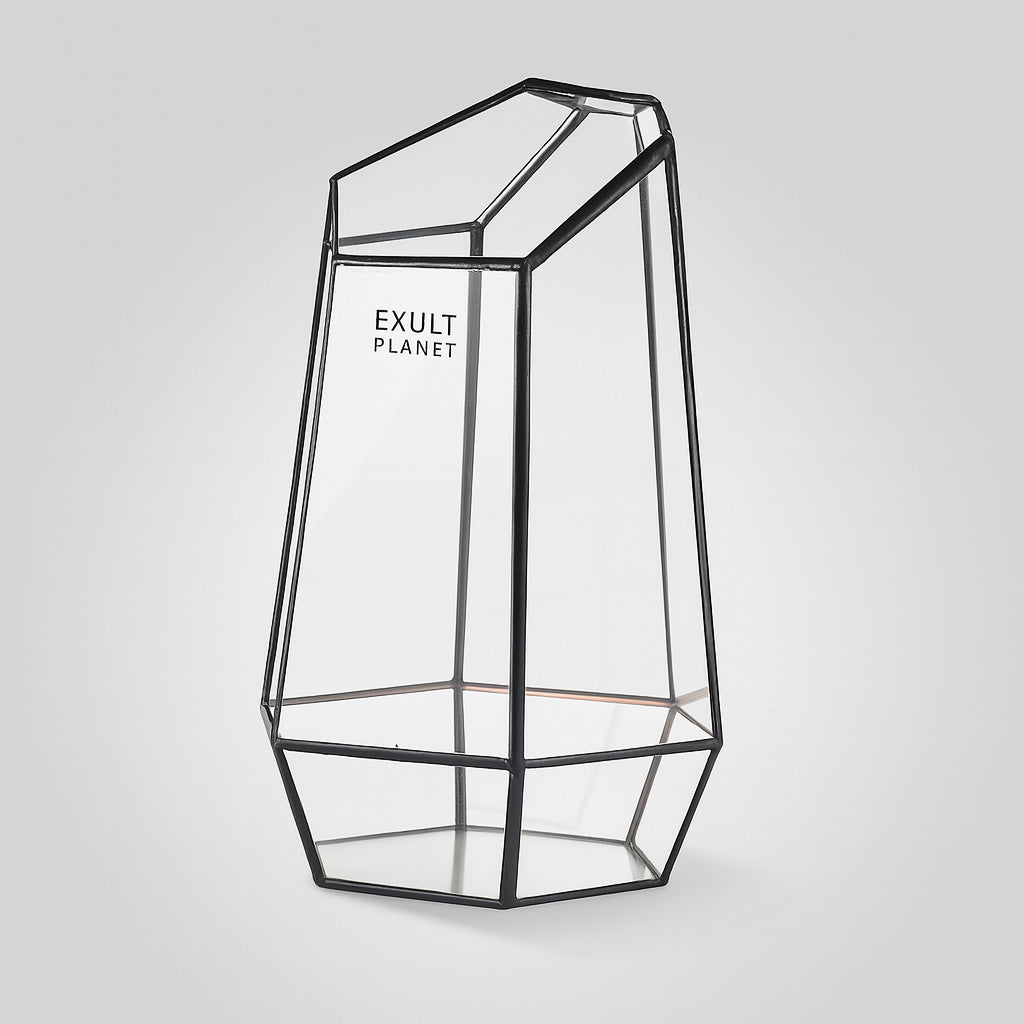 Eco-Friendly Plant Bottle for Stylish Home Decor