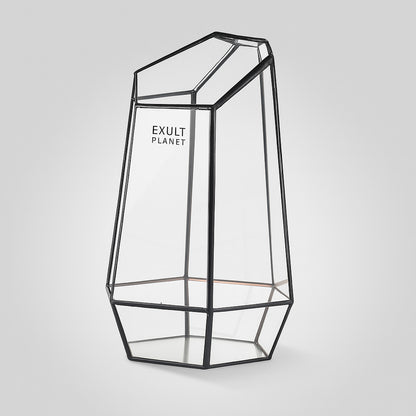 Eco-Friendly Plant Bottle for Stylish Home Decor