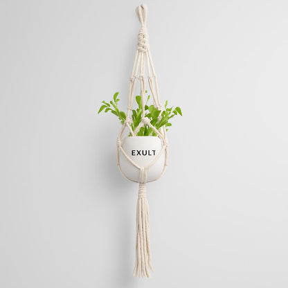 Eco-Friendly Macramé Plant Hangers - Natural Off-White Cotton