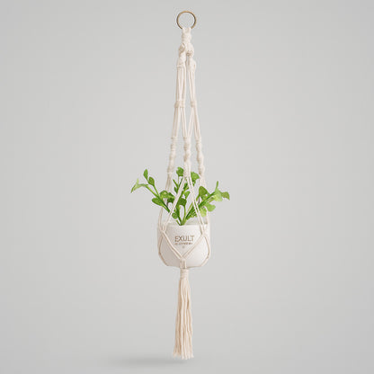 Eco-Friendly Macramé Plant Hangers - Natural Off-White Cotton