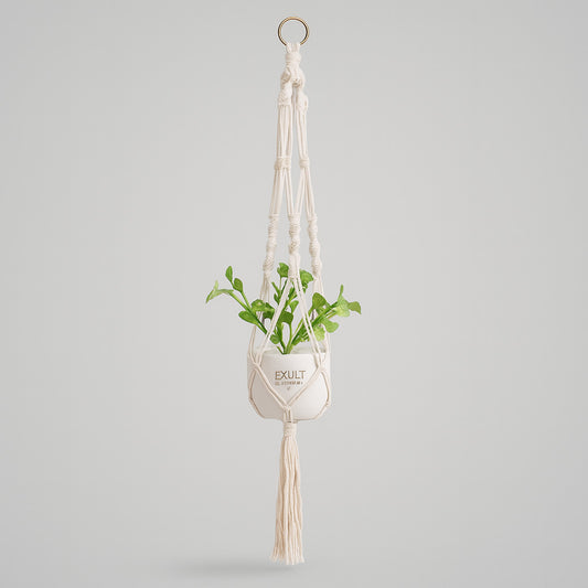 Eco-Friendly Macramé Plant Hangers - Natural Off-White Cotton