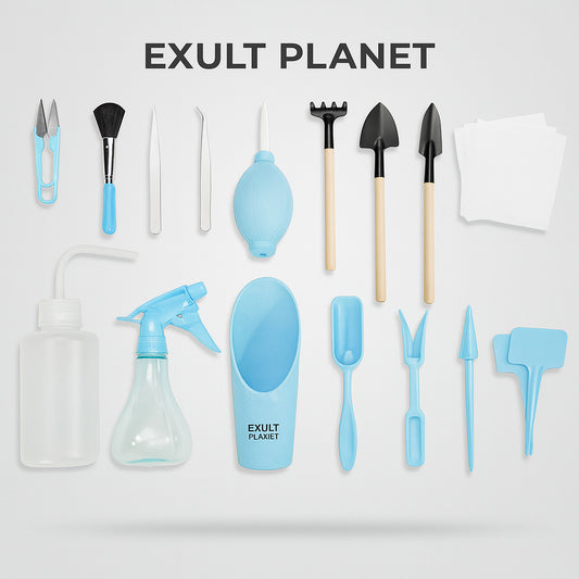 Eco-Friendly Succulent Transplant Tool Set in Light Blue & Wood