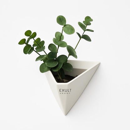 Eco-Friendly Triangular Wall Planter for Indoor Greenery