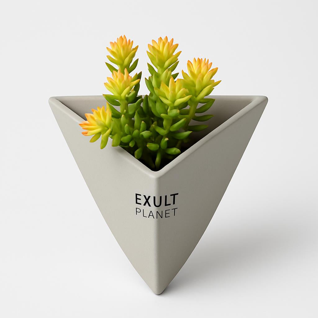 Eco-Friendly Triangular Wall Planter for Indoor Greenery