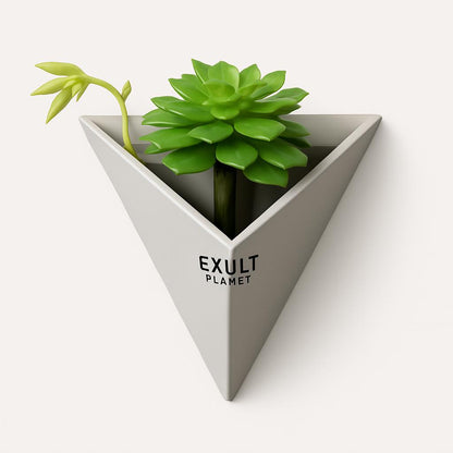 Eco-Friendly Triangular Wall Planter for Indoor Greenery