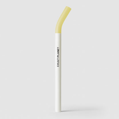 Eco-Friendly Biodegradable Plastic Straws for Sustainable Sipping