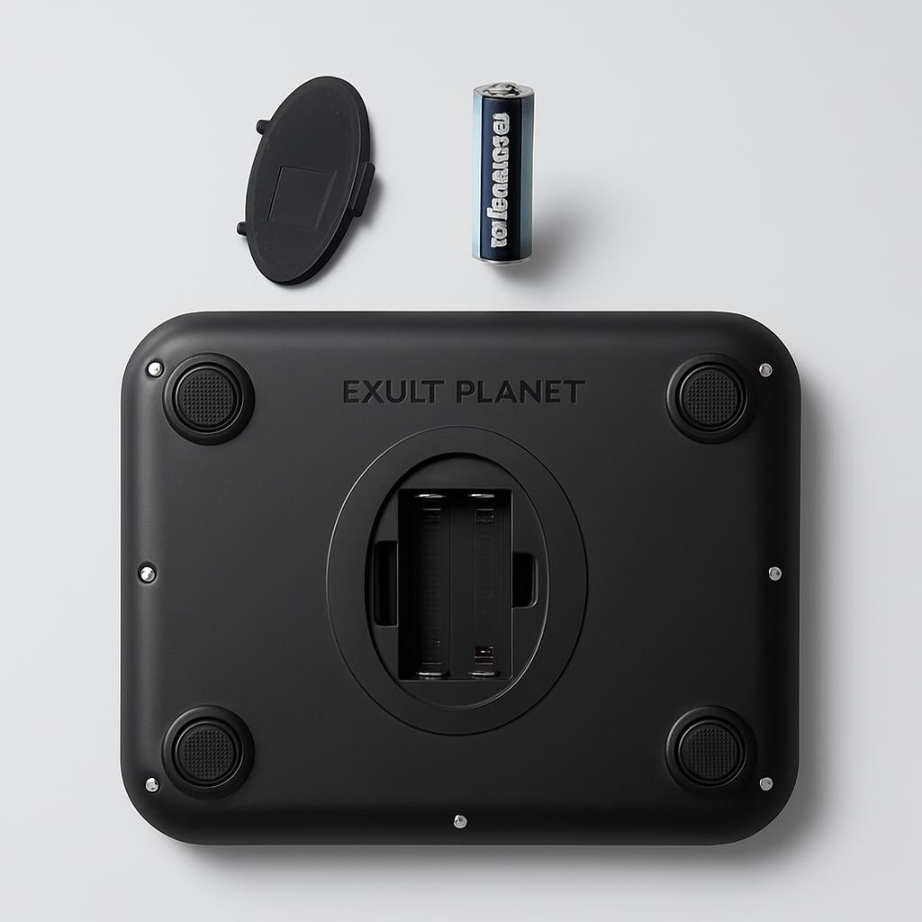 EcoSmart Precision Kitchen Scale