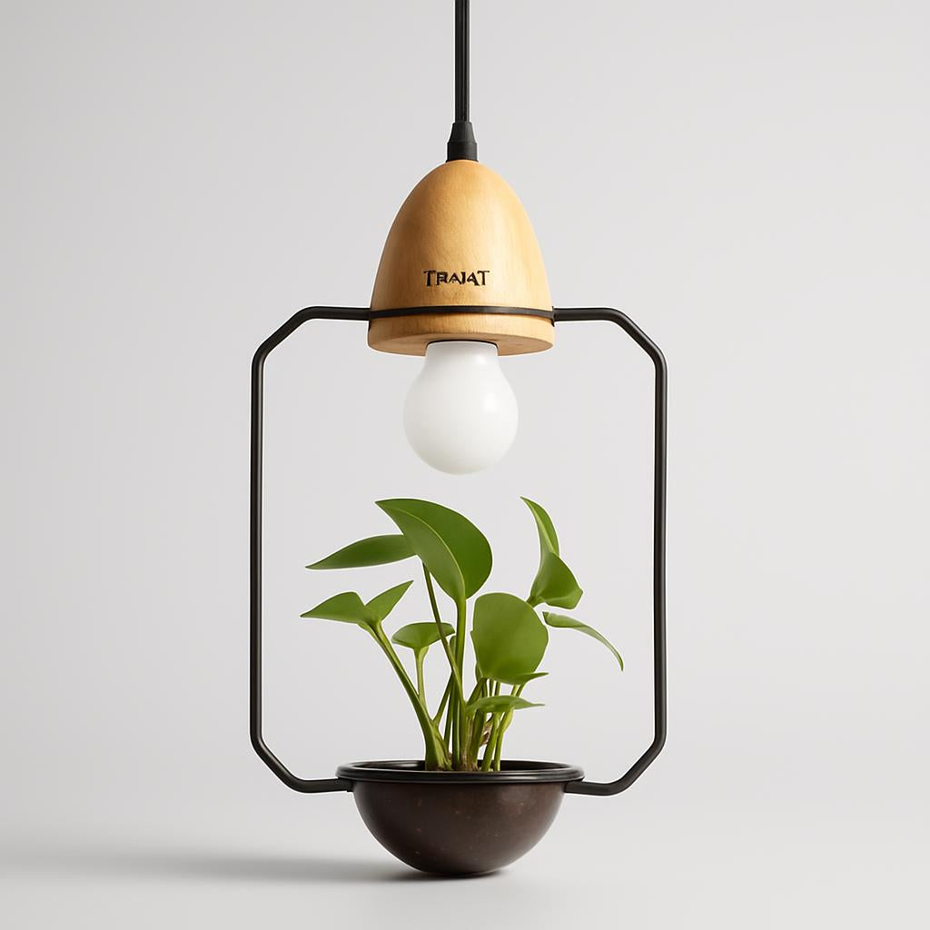 Teardrop Hanging Light Fixture with Integrated Planter - Black Frame, Wooden Accent