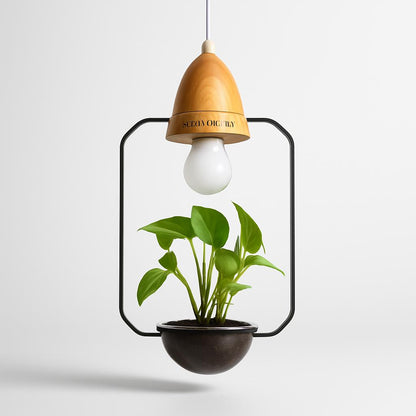 Teardrop Hanging Light Fixture with Integrated Planter - Black Frame, Wooden Accent