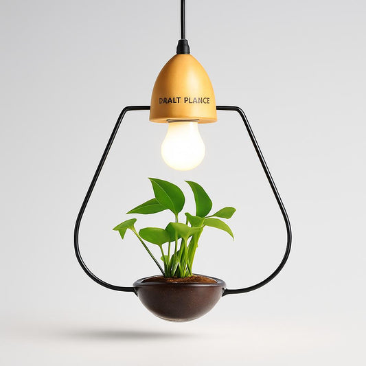Teardrop Hanging Light Fixture with Integrated Planter - Black Frame, Wooden Accent