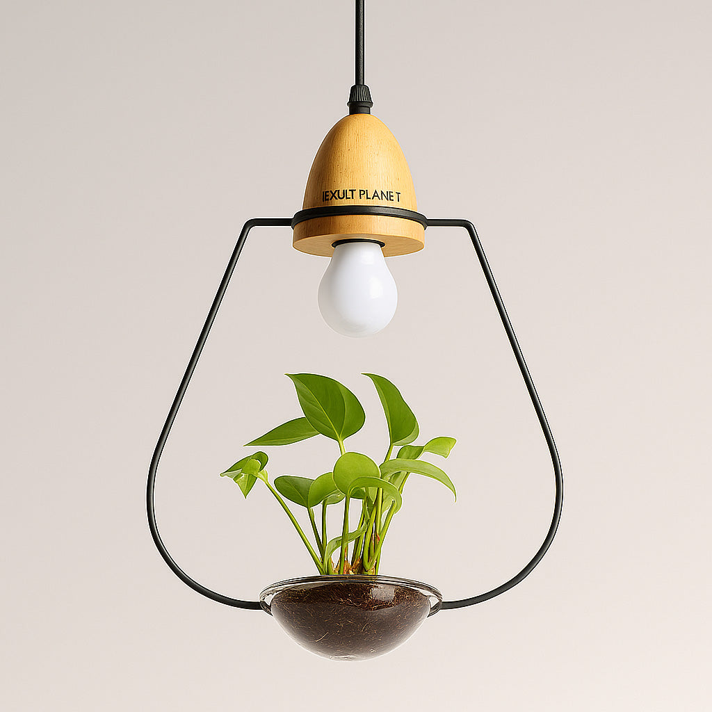 Teardrop Hanging Light Fixture with Integrated Planter - Black Frame, Wooden Accent