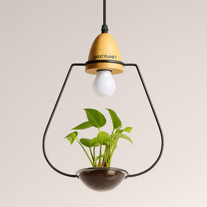 Teardrop Hanging Light Fixture with Integrated Planter - Black Frame, Wooden Accent