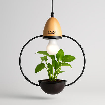 Teardrop Hanging Light Fixture with Integrated Planter - Black Frame, Wooden Accent