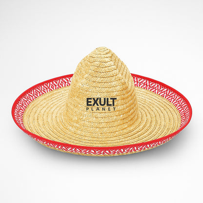 Eco-Friendly Pointed Top Straw Hat with Big Brim Frills