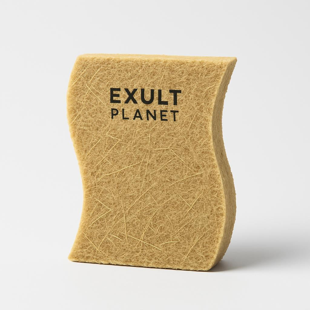 Eco-Friendly Natural Cellulose Kitchen Sponge