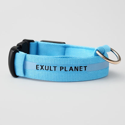 Eco-Friendly LED Safety Dog Collar