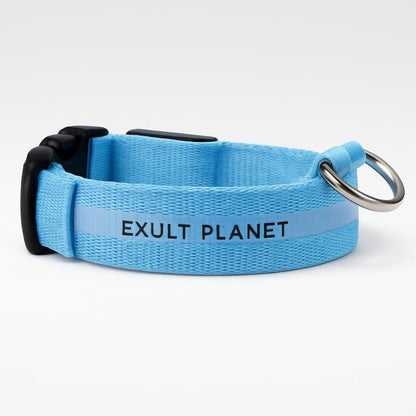 Eco-Friendly LED Safety Dog Collar
