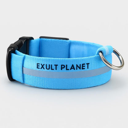 Eco-Friendly LED Safety Dog Collar