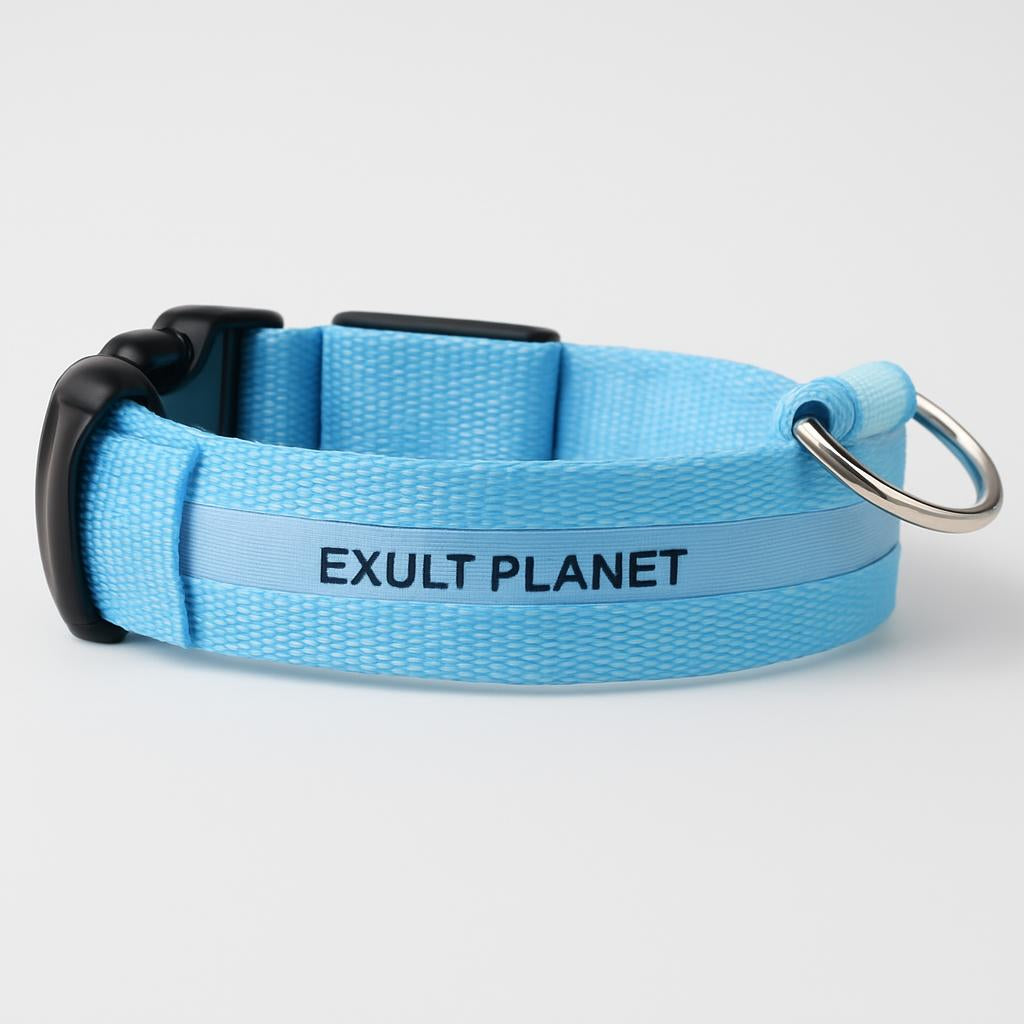 Eco-Friendly LED Safety Dog Collar