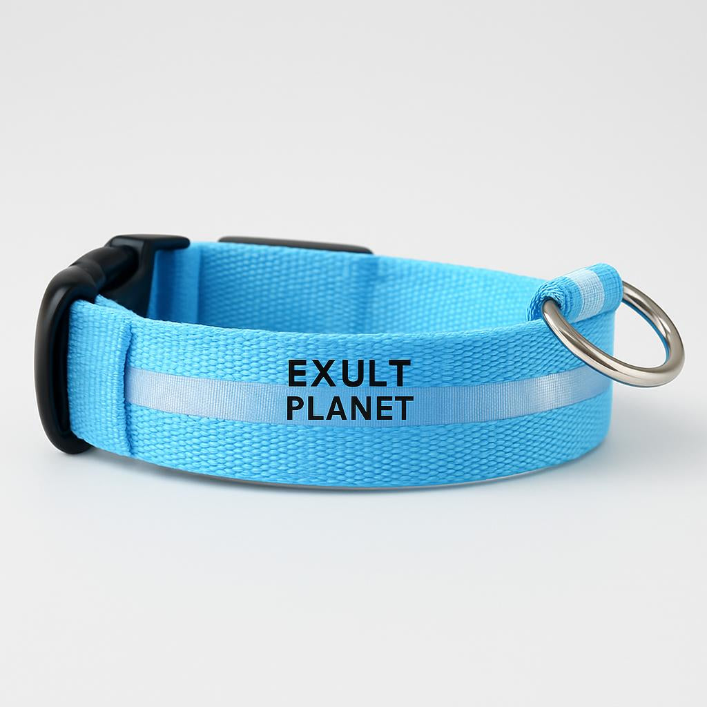 Eco-Friendly LED Safety Dog Collar