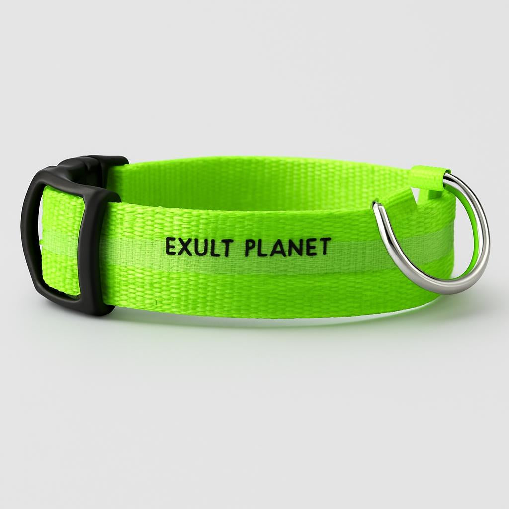 Eco-Friendly LED Safety Dog Collar