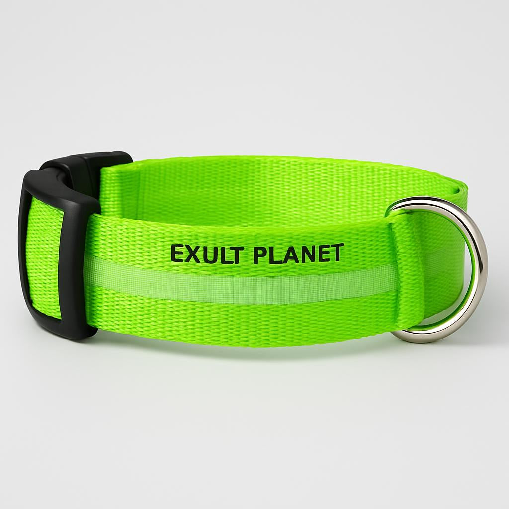 Eco-Friendly LED Safety Dog Collar
