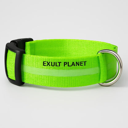 Eco-Friendly LED Safety Dog Collar