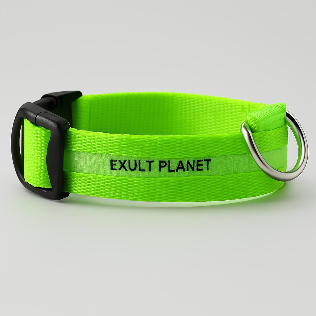 Eco-Friendly LED Safety Dog Collar