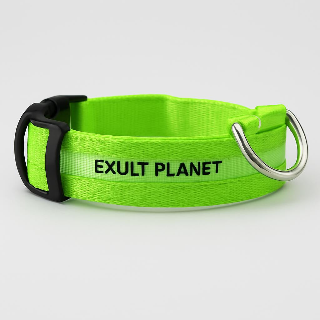 Eco-Friendly LED Safety Dog Collar