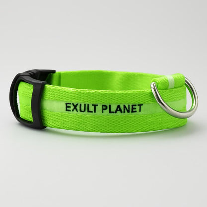 Eco-Friendly LED Safety Dog Collar