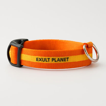Eco-Friendly LED Safety Dog Collar