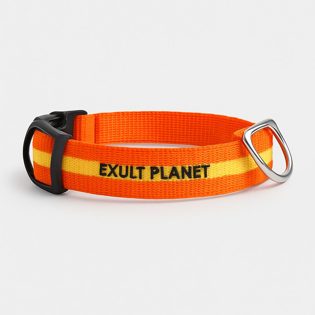Eco-Friendly LED Safety Dog Collar