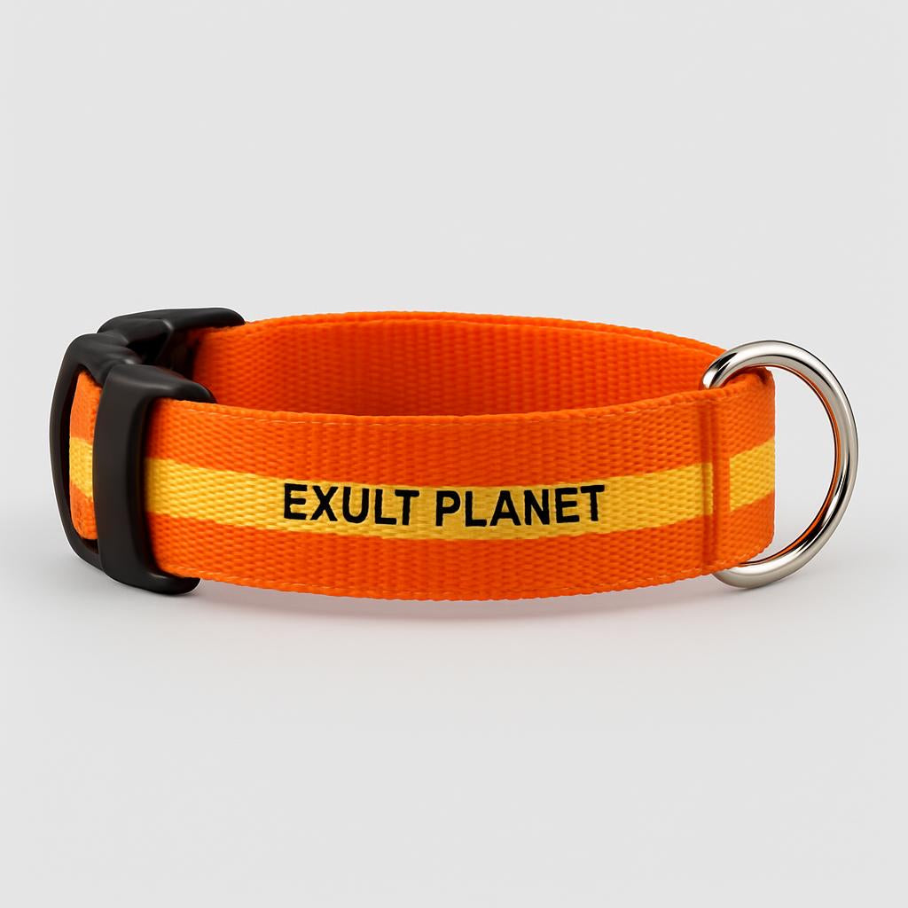 Eco-Friendly LED Safety Dog Collar