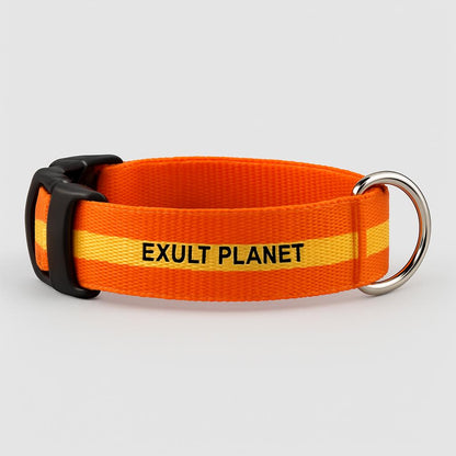 Eco-Friendly LED Safety Dog Collar