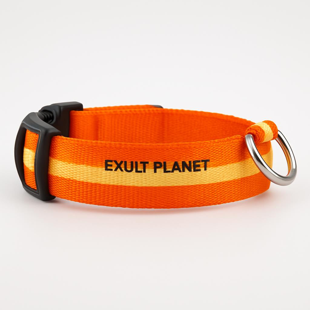 Eco-Friendly LED Safety Dog Collar
