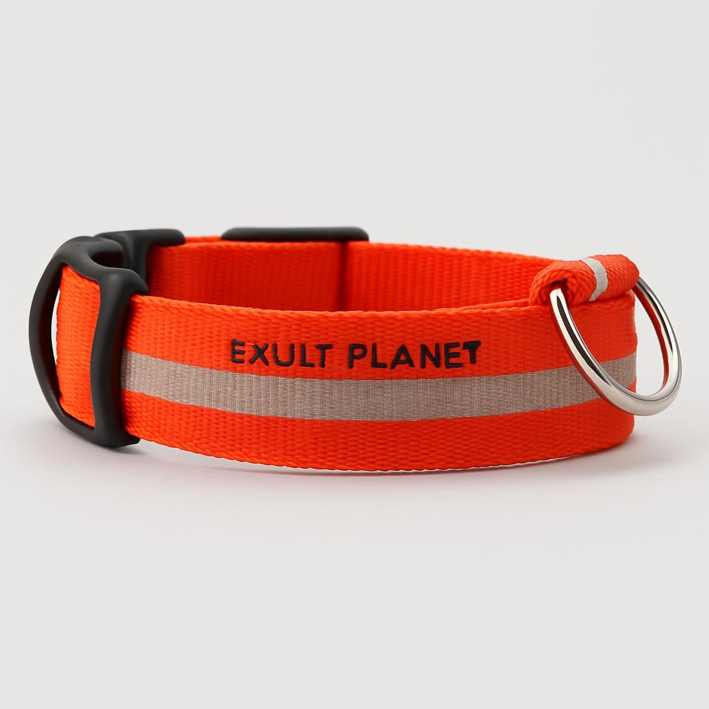 Eco-Friendly LED Safety Dog Collar