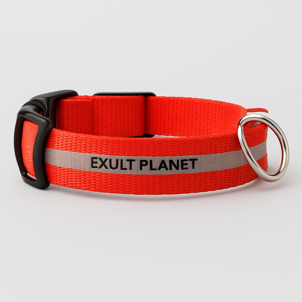 Eco-Friendly LED Safety Dog Collar