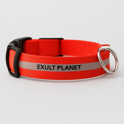 Eco-Friendly LED Safety Dog Collar